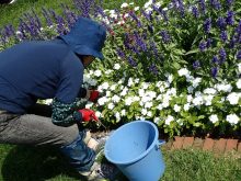 3丁目東花壇のメンテナンスの様子