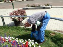 93歳の男性の作業の様子