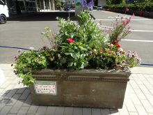 台風後のゴールド班の状態