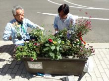 補植をけんとうしているところ