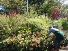 メンテナンスの様子