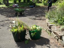 グリーンの道具類