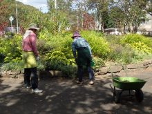 グリーンのエプロンを着ています