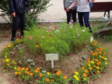 9月26日の振り返りの時の花壇の様子