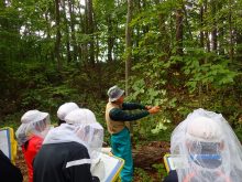 木の説明をするメンバーさん