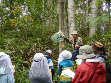 木の説明を受けているところ