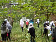 木のテスト中の様子