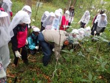 地こしらえの作業をしているところ