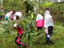 切った笹をみんなで運んでいるところ