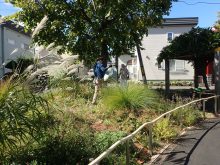 公園の秋の景色