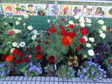 補植前の花壇の様子