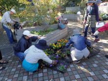 班の代表者が苗を選んでいるところ