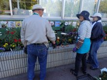 補植の場所を検討しているところ