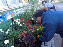 補植をしているところ