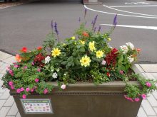 ラベンダー班のメンテナンス後の様子