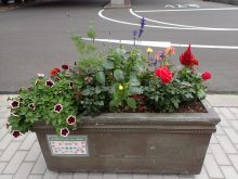 メンテナンス後の様子