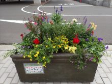 メンテナンスの様子