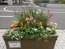 メンテナンス後の様子