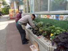 OLYMPUS DIGITAL CAMERA