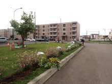 JR百合が原駅前ロータリーにある花壇