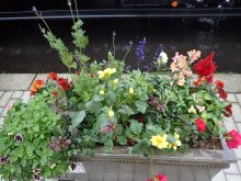 インパチェンス班のコンテナ