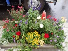 アカシア班のコンテナ