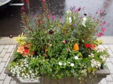 ゴールド班のコンテナ