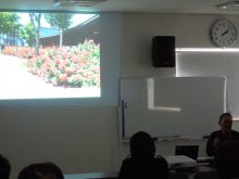 岩見沢駅前のバラ花壇