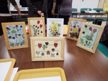 OLYMPUS DIGITAL CAMERA