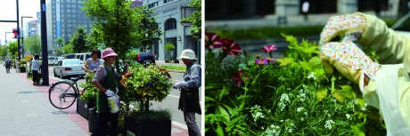 ハンギングメンテ７