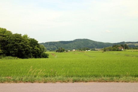 リトルロック１