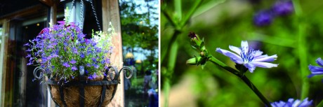 リトルロック８