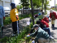 向い側街路ます除草中