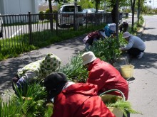 向かい側街路ます除草中２