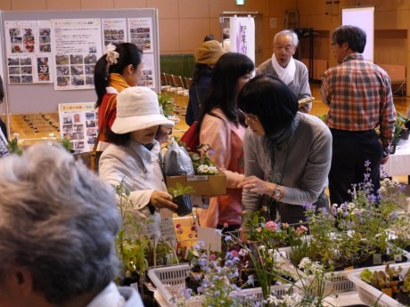植物選びの相談にも応じて