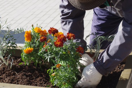 ｎａｋａｔａｓａｎｍｏｔｉｋａｅｒｉ