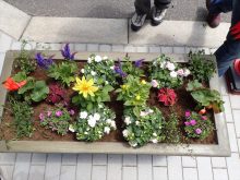 完成したコンテナ