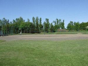少年野球場の写真