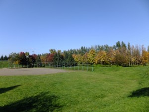 DSCF0543 - コピー