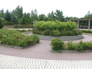 中央広場の写真