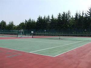 테니스 코트1