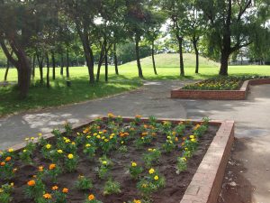 休養広場の花壇2