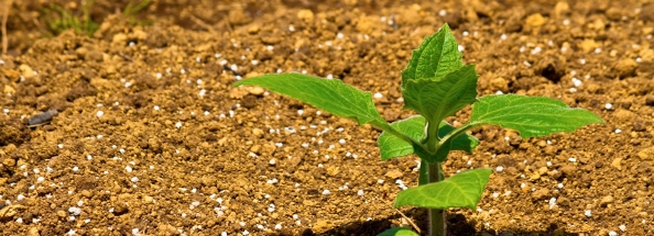 緑の相談のページ