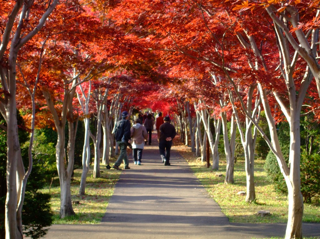 平岡樹芸センターの紅葉の写真