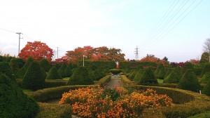 刈り込み物広場