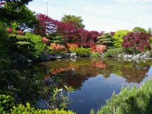 今朝の日本庭園