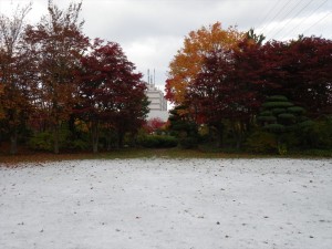 10/26　芝生広場　雪と紅葉