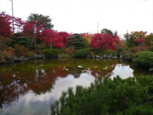 10/26　日本庭園