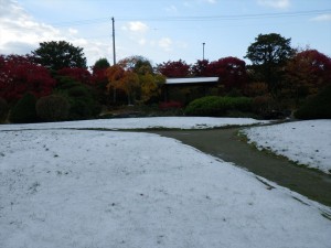 10/26　日本庭園　雪と紅葉