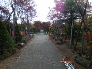 駐車場より奥へ